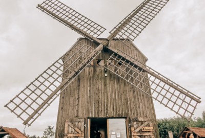 238310619_553130765890172_8060445107413743472_n