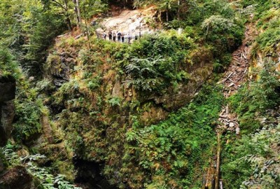 IMG_20200916_154029_Copy