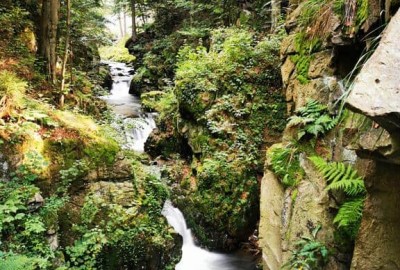 IMG_20200916_154234_Copy