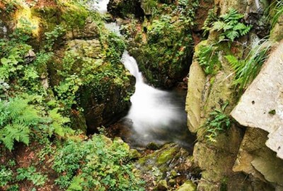 IMG_20200916_154319_Copy