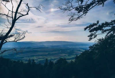 IMG_20200916_165017_Copy