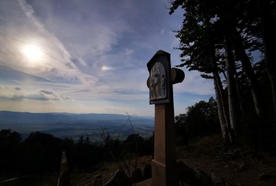 IMG_20200916_165127_Copy