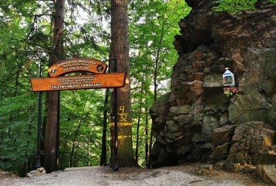 IMG_20200916_172153_Copy