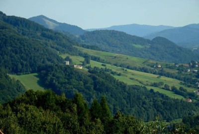 56553667_634231127040250_3076307082090119168_n