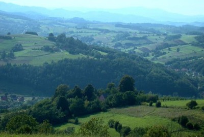 56558642_838486403172659_6124154907718057984_n