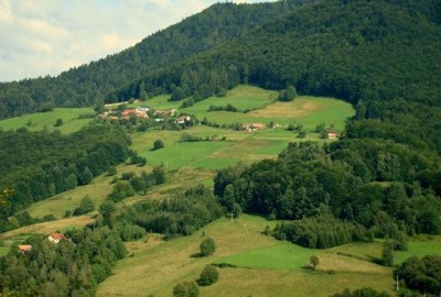 56718552_342102499643027_4273779389105176576_n