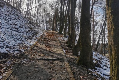 339217316_241320644941436_3165021708677201301_n