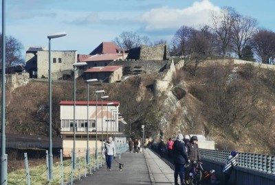 339241135_546669534256937_1821986098638365136_n