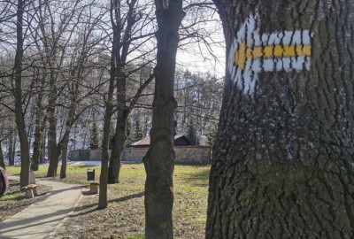 339261904_533564372298549_7861694304437519639_n