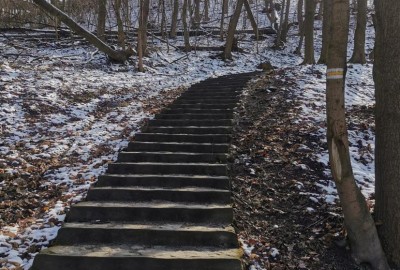 339377220_534200498916519_188766228155282378_n