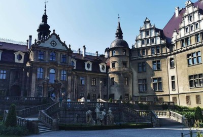 IMG_20200916_114822_Copy