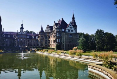 IMG_20200916_114950_Copy