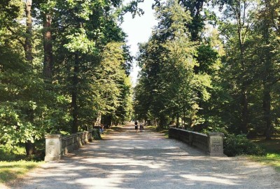 IMG_20200916_115108_Copy