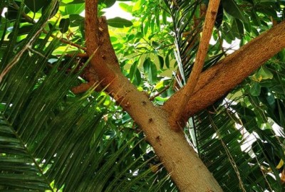 IMG_20200916_125015_Copy