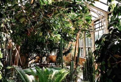 IMG_20200916_125138_Copy