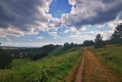 IMG_20200811_151945-01_Copy