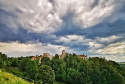 IMG_20200811_152027-01_Copy