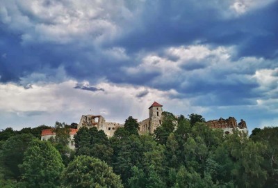 IMG_20200811_152037-01_Copy