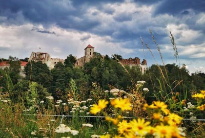 IMG_20200811_152057-01_Copy